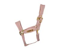 Licol pour cheval en nylon Kentucky Horsewear Rose Full