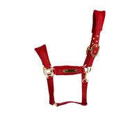 Licol pour cheval en nylon Kentucky Horsewear Rouge Shetland/Poney