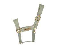 Licol pour cheval en nylon Kentucky Horsewear Vert Full