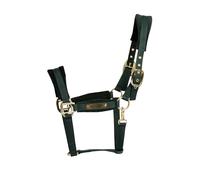 Licol pour cheval en nylon Kentucky Horsewear Vert Poney