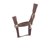 Licol pour cheval en nylon Kentucky Horsewear Violet Cob
