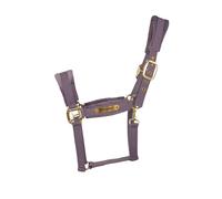 Licol pour cheval en nylon Kentucky Horsewear Violet Cob