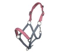 Licol pour cheval enfant HKM Kids Barnie Bleu Shetland