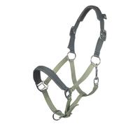 Licol pour cheval enfant HKM Kids Barnie Vert Mini Shetland