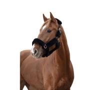 EQUITHÈME Teddy licol or rose poney noir