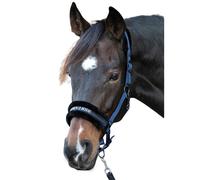 Licol pour cheval Harry's Horse Lyrics Quotes Bleu Shetland