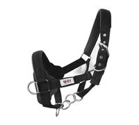 Licol pour cheval Hispano Hipica Noir Poulain