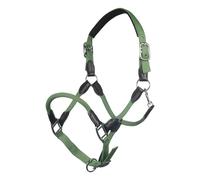 Licol pour cheval HKM Carlotta Vert Pur-sang