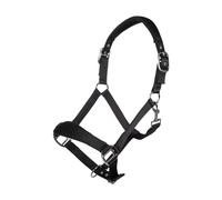 HKM Catherine Licol Noir Poney