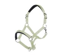 Licol pour cheval HKM Catherine Vert Poney