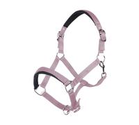 HKM Catherine Licol Mauve Pur-sang