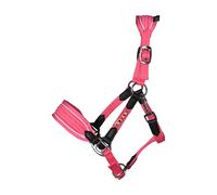 Licol pour cheval HKM Kids Maui- für Shettys Rose Poney