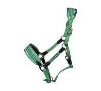 Licol pour cheval HKM Kids Maui- für Shettys Vert Mini Shetland