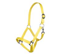 Licol pour cheval HKM Stars Economy Jaune Pur-sang