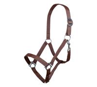 Licol pour cheval HKM Stars Economy Marron Cheval à sang froid