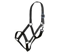 HKM 558587 Licol Stars Economy