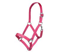 Licol pour cheval HKM Stars Economy Rose Pur-sang
