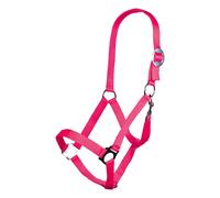 Licol pour cheval HKM Stars Economy Rose Shetty