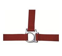 Licol pour cheval HKM Stars Economy Rouge Pur-sang