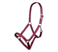 Licol pour cheval HKM Stars Economy Rouge Pur-sang