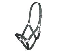 Licol pour cheval HKM Stars Economy Vert Cheval à sang froid