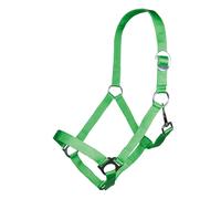 HKM 66145802 Stars Economy Licol Vert Clair Taille M