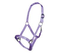 Licol pour cheval HKM Stars Economy Violet Cheval à sang froid