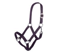 Licol pour cheval HKM Stars Economy Violet Cheval à sang froid