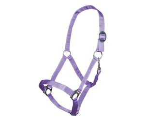 Licol pour cheval HKM Stars Economy Violet Pur-sang