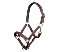 Licol pour cheval HKM Stars Marron Pur-sang