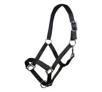 Licol pour cheval HKM Stars Noir Cheval à sang froid