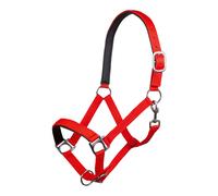 HKM 558492 Licol Stars Doux