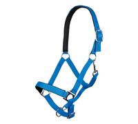Licol pour cheval HKM Stars Softice Bleu Pur-sang