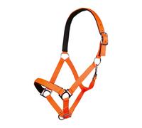HKM Stars Softice Licol, Doublure Douce Orange Fluo Pur-Sang