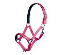 Licol pour cheval HKM Stars Softice Rose Cheval à sang froid