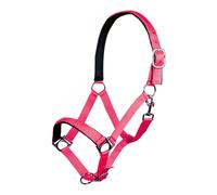 Licol pour cheval HKM Stars Softice Rose Cheval à sang froid