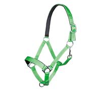 Licol pour cheval HKM Stars Vert Cheval à sang froid