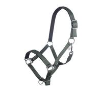 Licol pour cheval HKM Stars Vert Cheval à sang froid