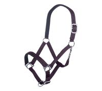 Licol pour cheval HKM Stars Violet Pur-sang