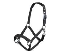 Licol pour cheval HKM Sydney Noir Cheval à sang froid
