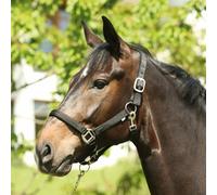 Licol pour cheval HorseGuard Lea Noir Cob
