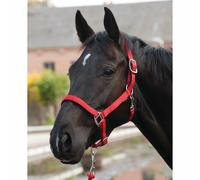 Licol pour cheval HorseGuard Lea Rouge Poney