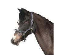 Licol pour cheval HorseGuard Rio Noir Cob