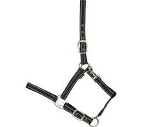Licol pour cheval HorseGuard Rio Noir Foal