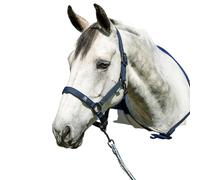 Licol pour cheval Horseware Newmarket Bleu Cob
