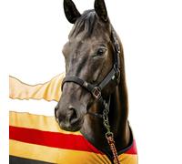 Licol pour cheval Horseware Newmarket Jaune Full
