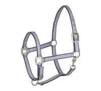 Licol pour cheval Horze Adepto Violet Poney