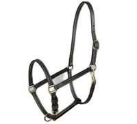 Licol pour cheval Horze Fremont Noir Poney