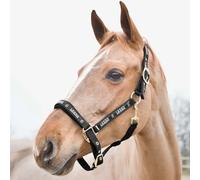 Licol pour cheval Horze Hamptons Noir Poney