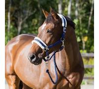 Licol pour cheval Horze Howard Bleu Ful